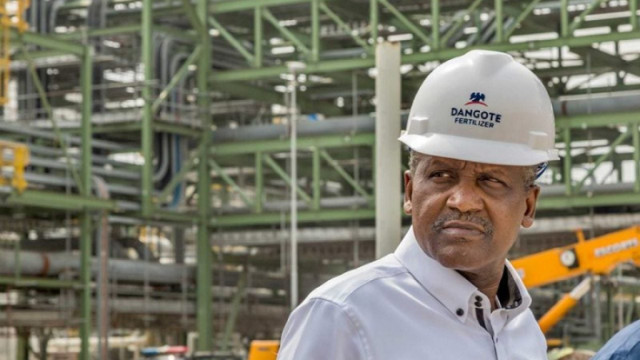 Photo of Aliko Dangote